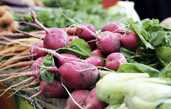 A travers le thème de la cuisine en mutation, l’événement de la Société suisse des cuisiniers s’intéressera aux produits régionaux et biologiques. (DR)