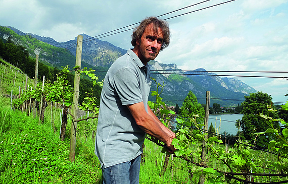 Die Seemühle in Walenstadt ist Marco Casanovas liebster Rebberg. (Bild ZVG)