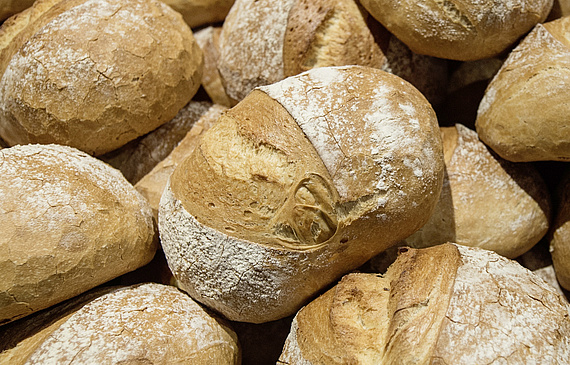 Les produits du secteur de la boulangerie-pâtisserie-confiserie seront à l’honneur fin janvier à Berne dans le cadre de la 33e édition du traditionnel Salon FBK. dr