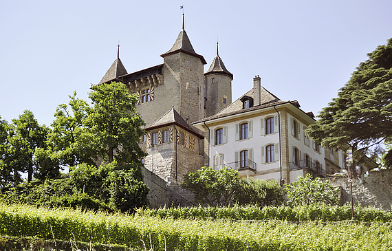 C’est dans le château médiéval de Vaumarcus que se tiendra la prochaine AG de Hotel & Gastro Union. (notrehistoire.ch) 