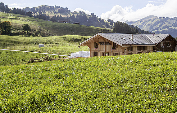 La ferme de la Sciaz à La Lécherette (VD) est l’un des projets touristiques à avoir bénéficié d’un soutien de l’Aide suisse aux montagnards. dr