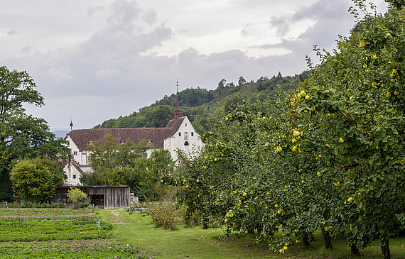 Die Stiftung Kartause Ittingen ist umringt von Gemüse-, Heilkräuter-, Tee- und Rosengärten. Auch diverse Fruchtbäume gedeihen auf dem Gelände. (Bilder ZVG)